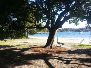 1065769_10151825595870739_1070503395_o